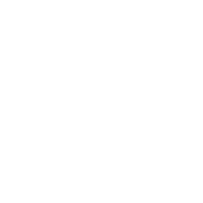 finance icon